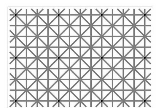 ¿Puede ver los 12 puntos negros al mismo tiempo?