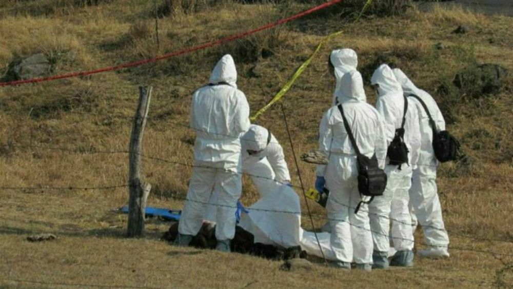 Hallan dos fosas con restos de 8 personas en Michoacán