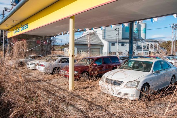 Así luce la zona de abandonada de Fukushima tras accidente nuclear - fukushima-abandonado-4
