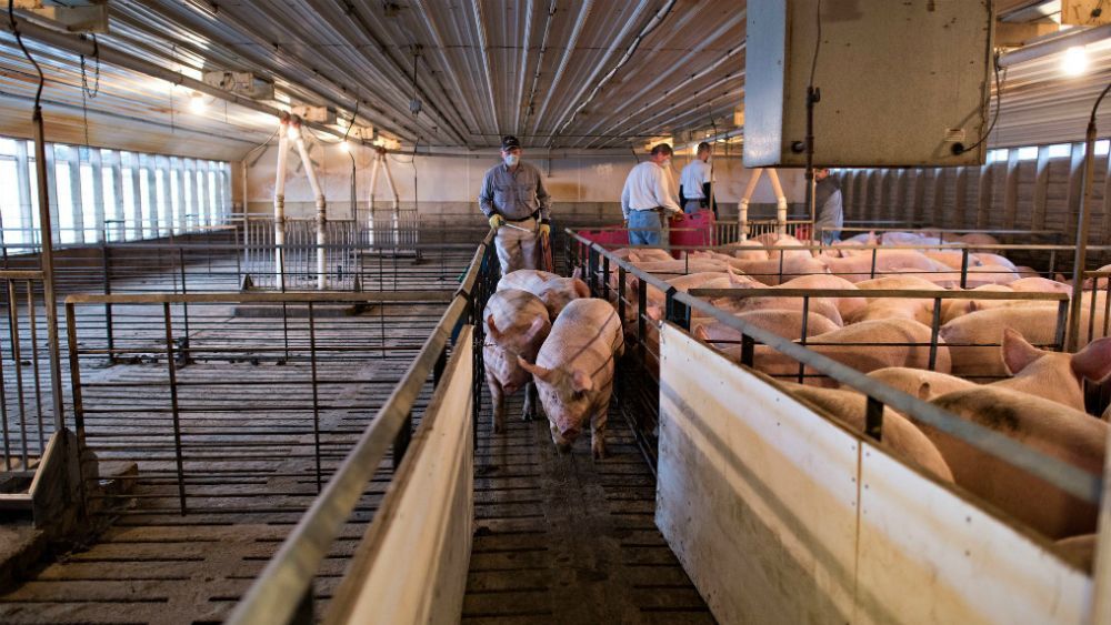 China aplicará aranceles a 128 mercancías importadas de EE. UU.