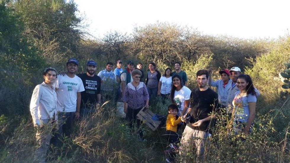 Denuncian acoso sexual en Greenpeace de Argentina, Chile y Colombia - greenpeace-3