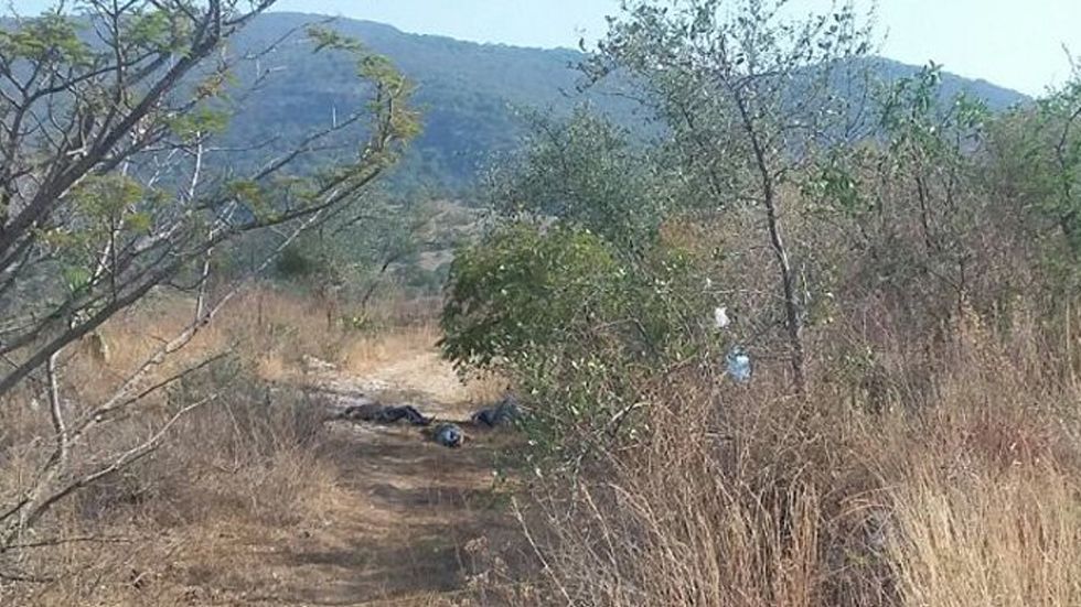 Hallan cinco cadáveres en carretera en Guerrero