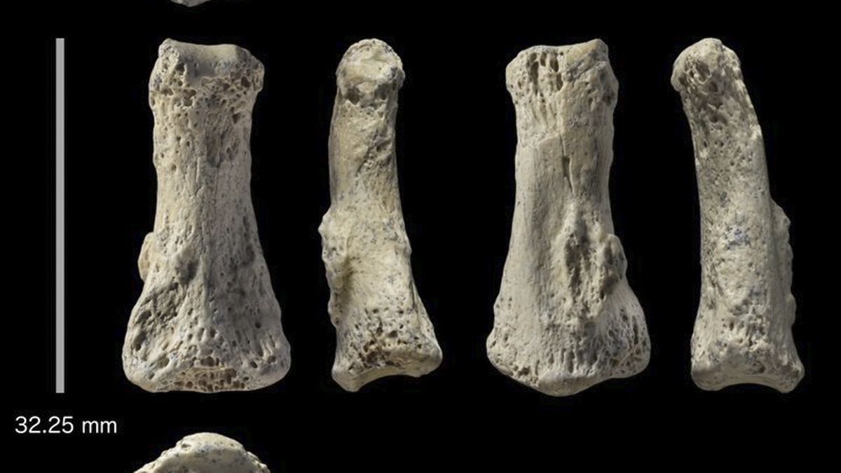 Encuentran el hueso humano más antiguo al exterior de África