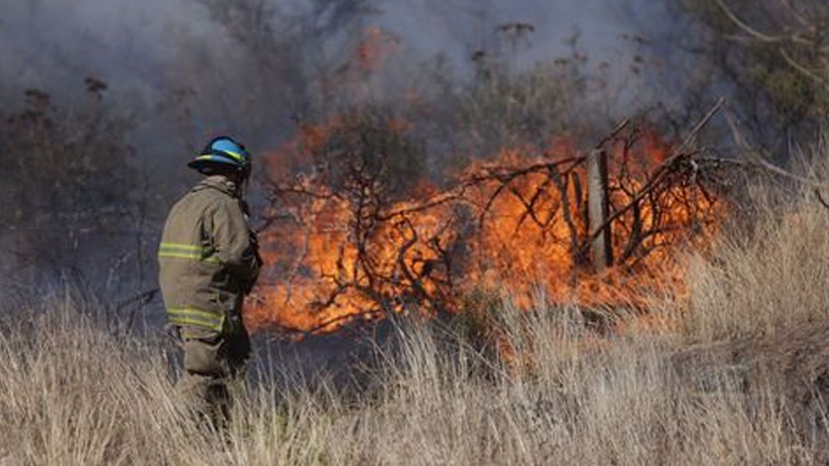 Mueren tres brigadistas combatiendo incendio en Jalisco