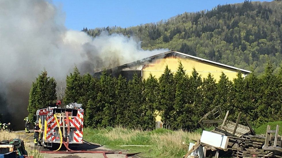 Jornaleros mexicanos sobreviven a incendio en granja en Canadá