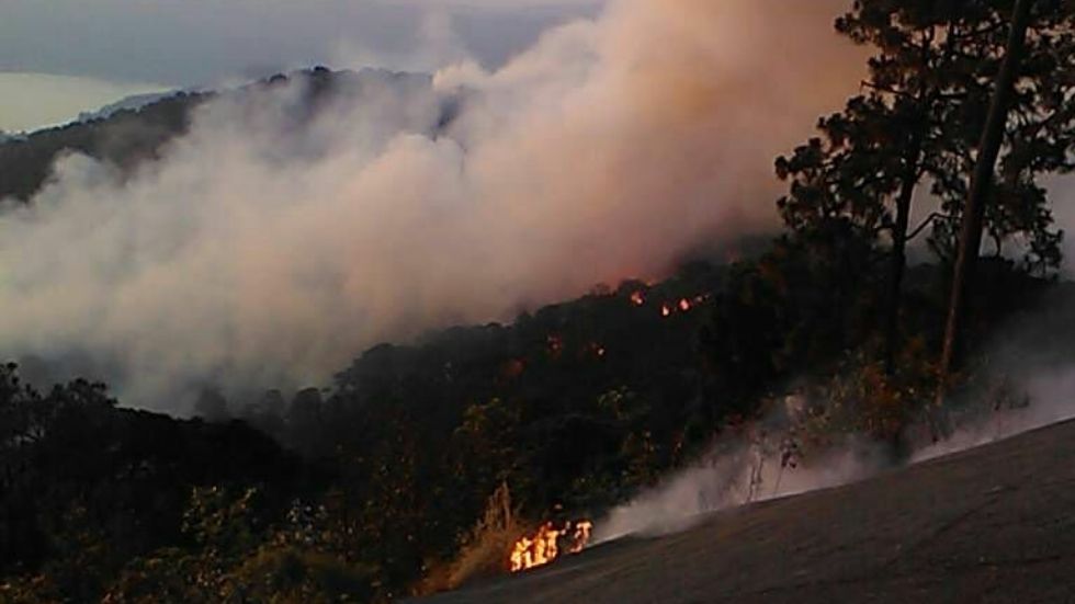 Incendio consume 250 hectáreas de bosque en Monte Alto