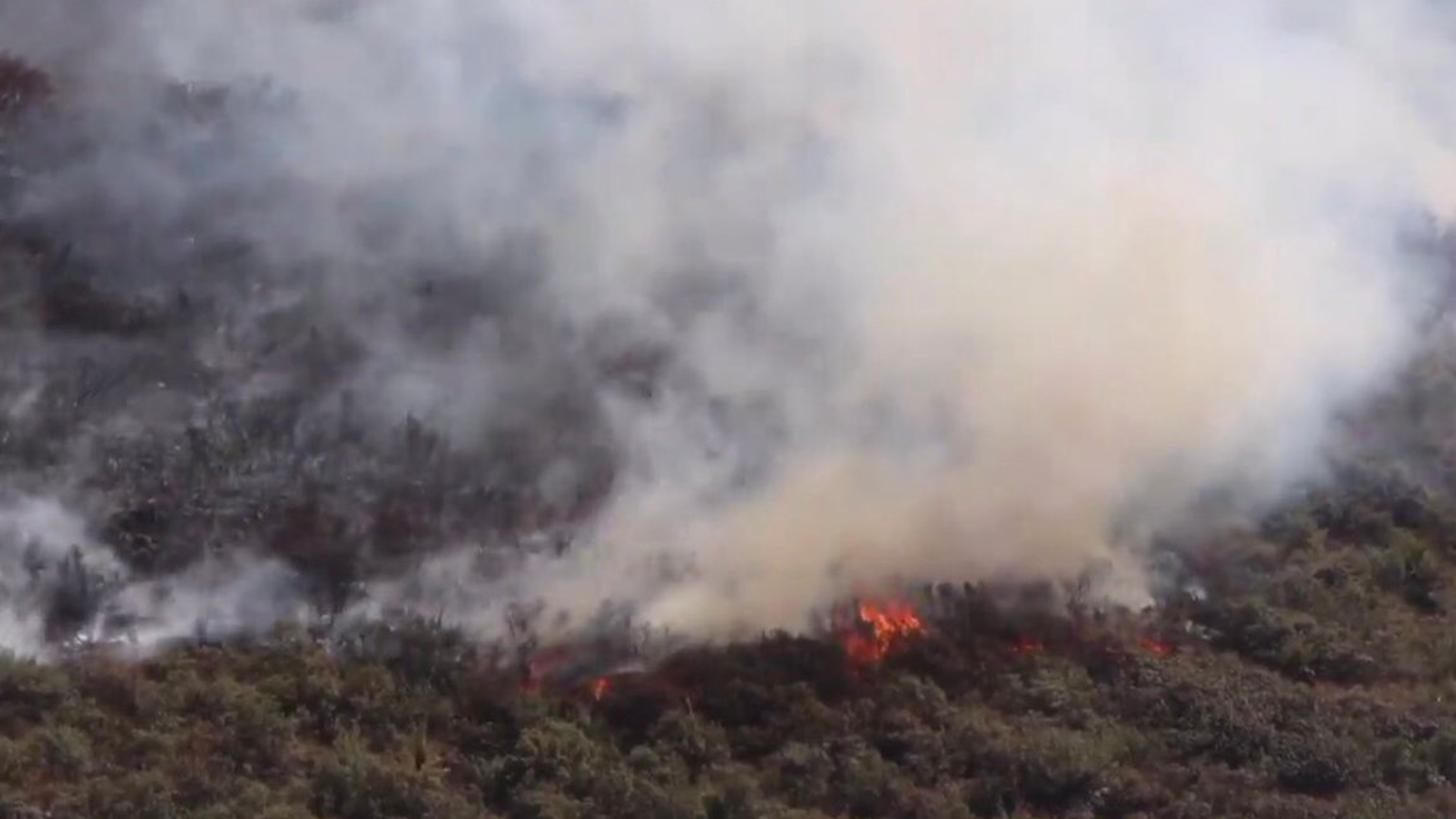 Van cuatro días de incendio en Sierra de Coahuila