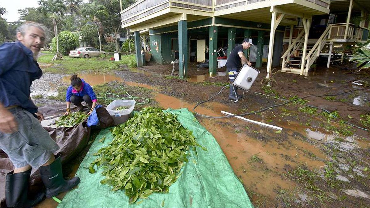 Cientos de evacuados por fuertes lluvias en Hawaii