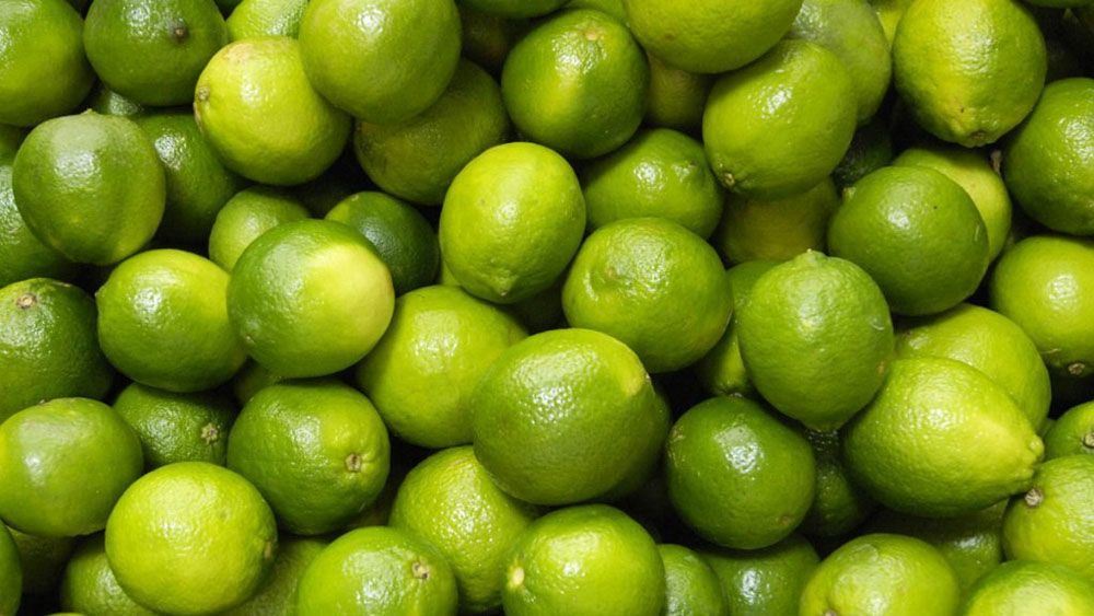 Precio del limón aumentó casi 50 por ciento en marzo