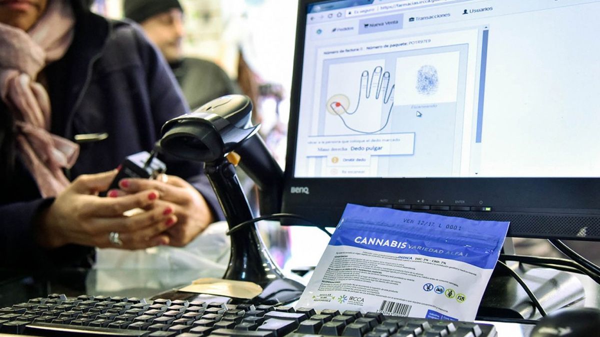 Los retos del mercado legal de la mariguana en Uruguay