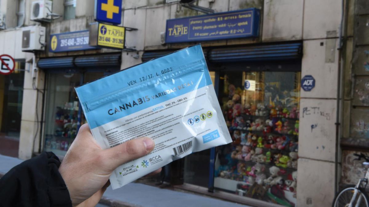 Los retos del mercado legal de la mariguana en Uruguay - mariguana-legal-venta-uruguay