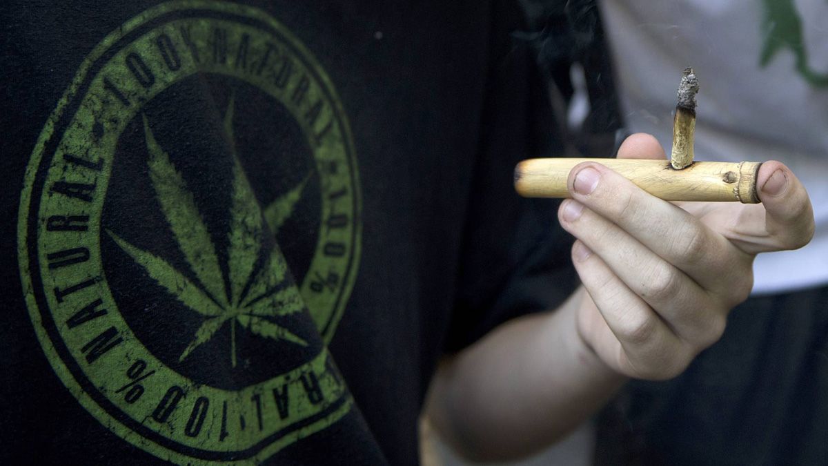 Los retos del mercado legal de la mariguana en Uruguay - mariguana-uruguay-mercado