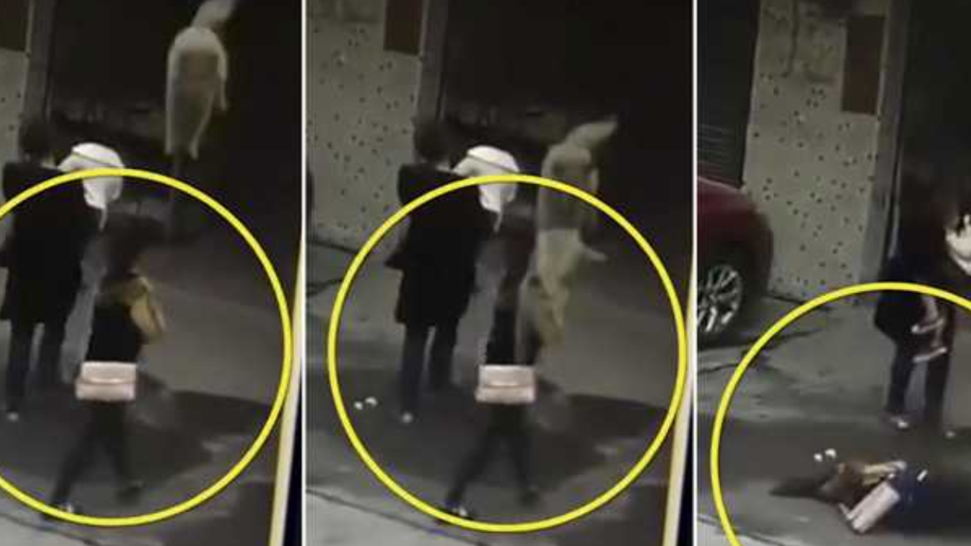 #Video Perro cae desde balcón y golpea a mujer dejándola inconsciente