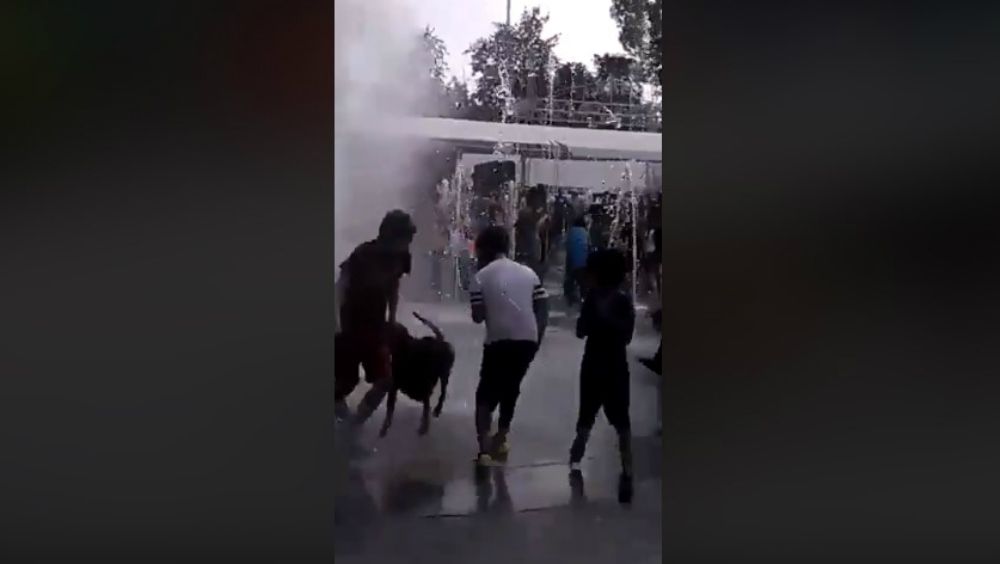 #Video Pitbull ataca a niños en plaza de Iztacalco