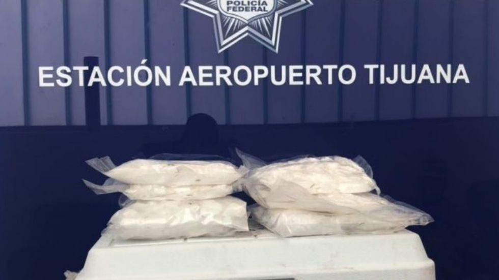 Hallan metanfetamina en Tijuana oculta entre camarón crudo