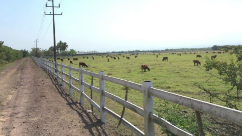 Aseguran rancho de exgobernador Roberto Sandoval