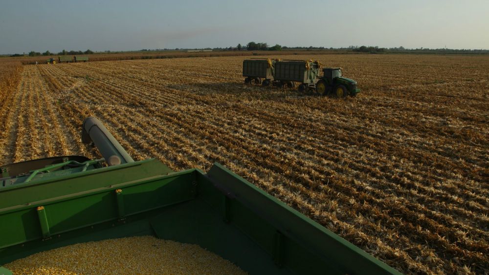 Aclara Sagarpa información sobre observaciones hechas por ASF