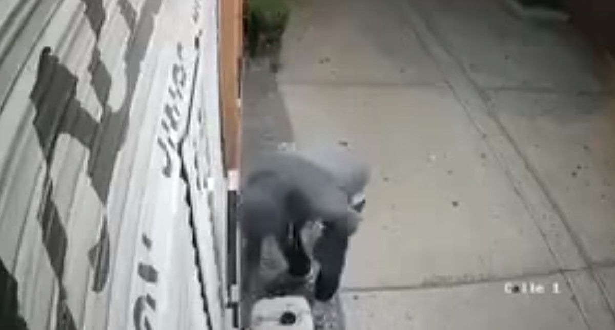 #Video Queman estética en Coyoacán #Video Queman estética en Coyoacán