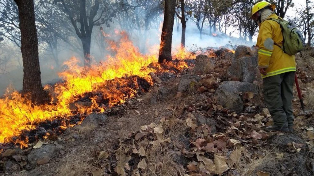 Suspenden clases en cuatro municipios de Jalisco por incendio forestal