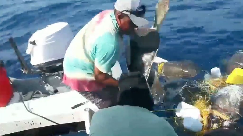 Rescatan a tortugas atrapadas en palangre en Puerto Escondido