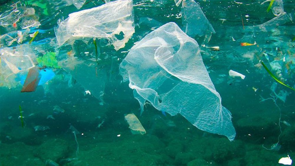 CDHDF insta a generar políticas para limitar uso de plásticos