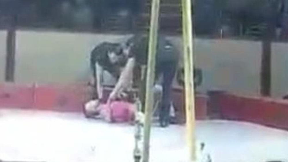 #Video Acróbata cae de rueda giratoria