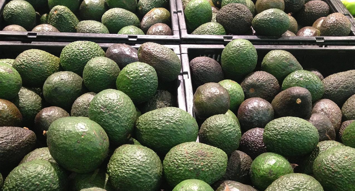 ¿Es dañino comer aguacate después de un coraje? - aguacate