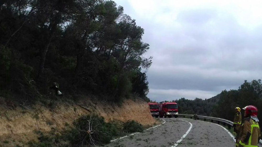 Mueren tres personas al caer avión pequeño en España