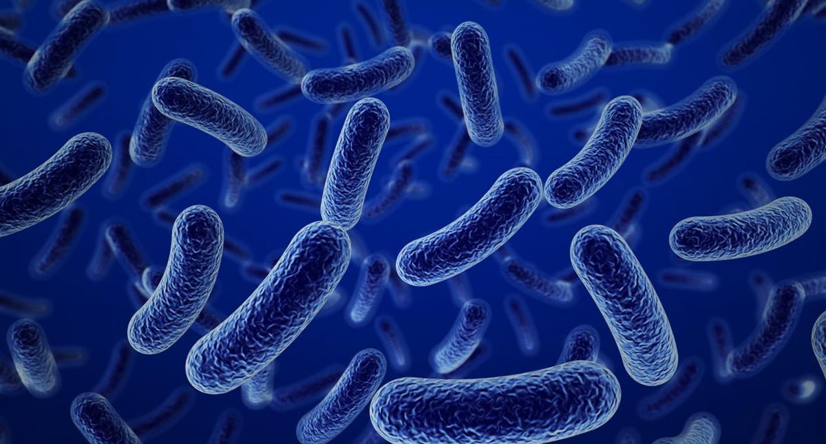 Bacterias podrían ayudar a limpiar agua contaminada con medicamento