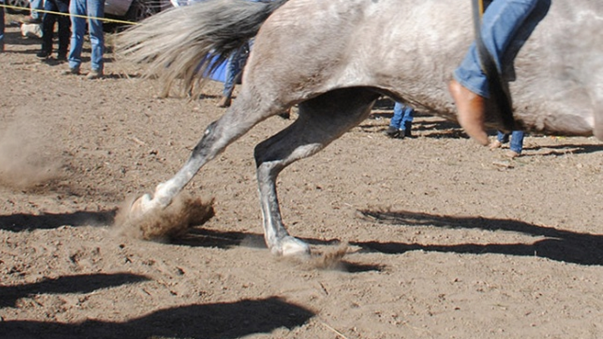 Pierde apuesta y asesina al ganador para no pagarle