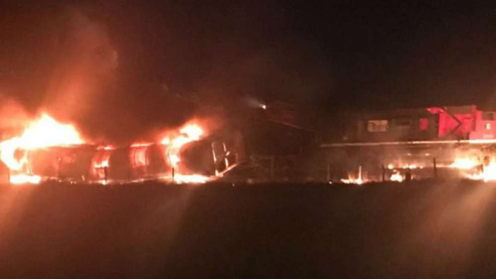 Por error humano, choque de trenes; reportan un muerto y cinco heridos - choque-de-trenes-chihuahua-cd-juarez2