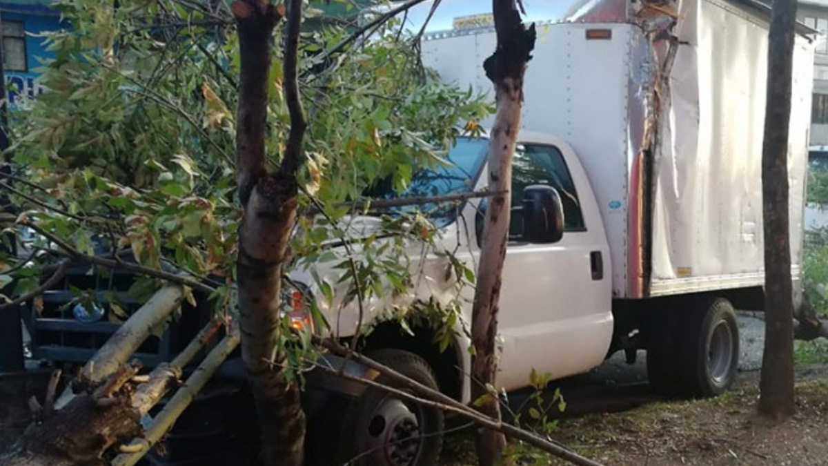 Vehículo de carga choca y derriba árboles en Eje 5 Sur