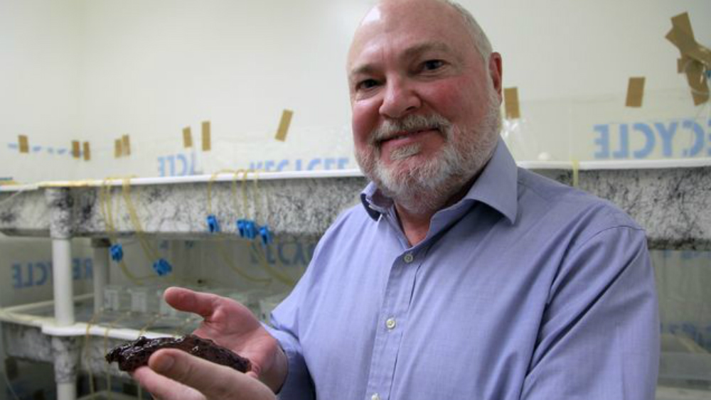 Científicos de la UCLA logran transferir recuerdo entre dos seres vivos