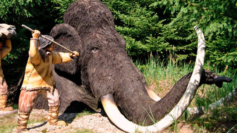 Hallan restos de la Edad de Hielo en San Luis Potosí - edad-de-hielo-slp2-copia