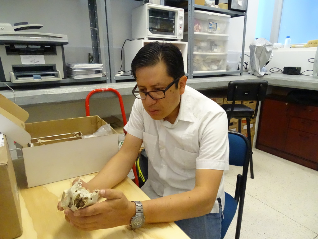 Hallan restos de la Edad de Hielo en San Luis Potosí - edad-de-hilo-slp1