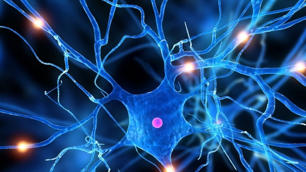 Hasta 20 mil personas padecen esclerosis múltiple en México