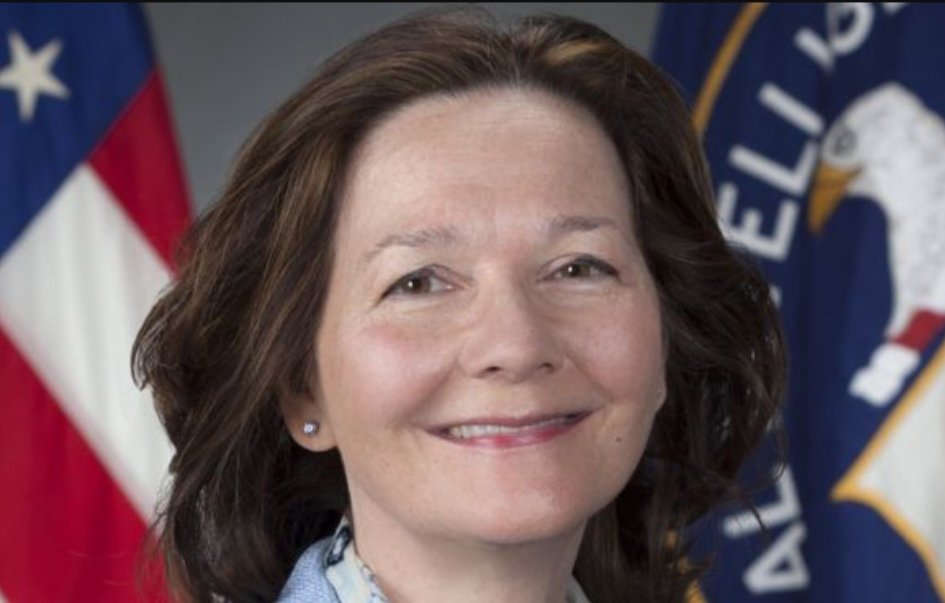 Nominada de Trump a la CIA promete que no regresarán las torturas - gina-haspel
