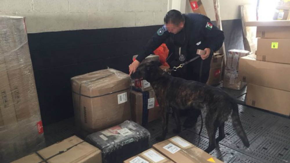 Federales descubren heroína oculta en pantuflas en Aeropuerto de Cancún