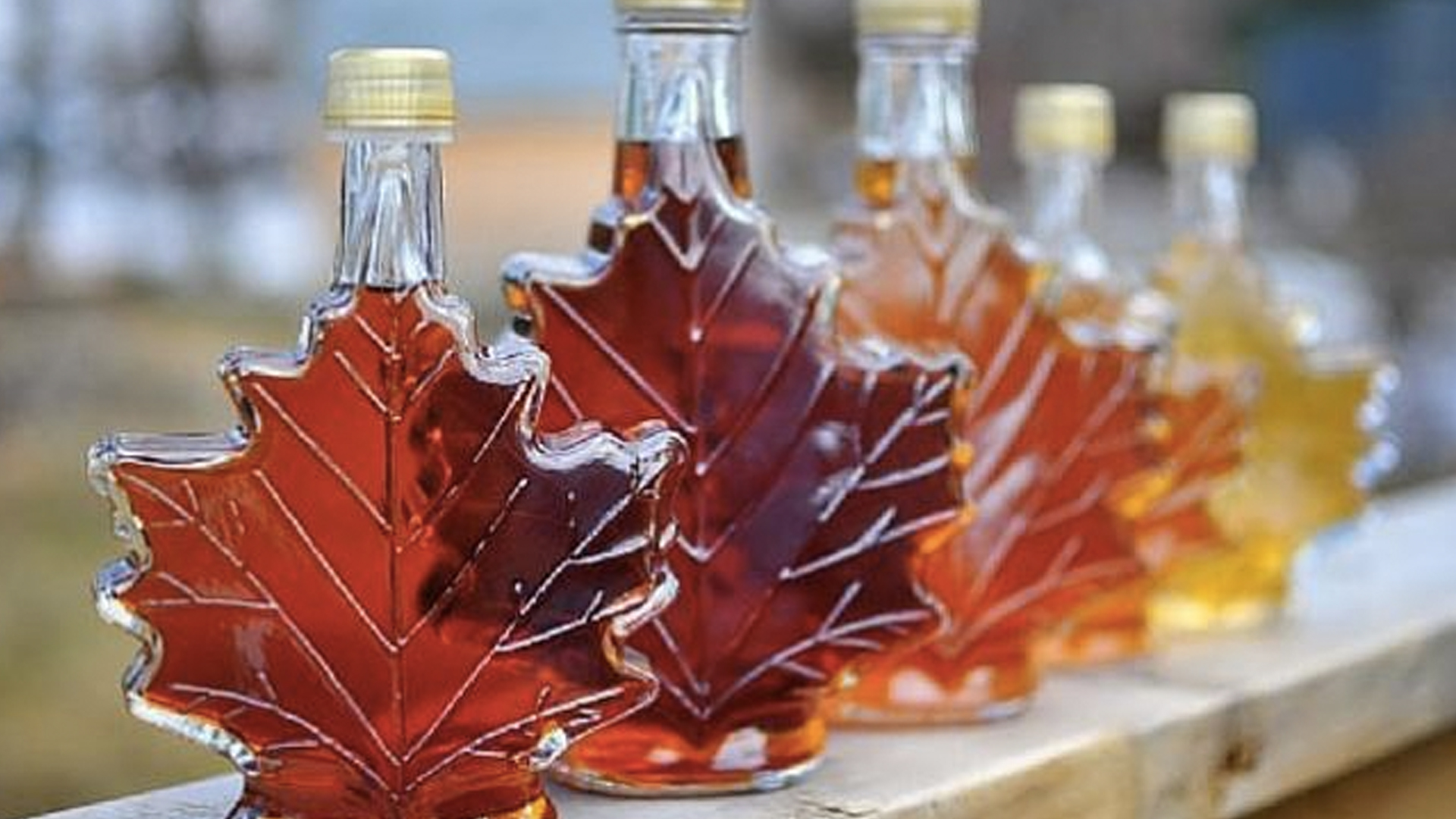 ¿La maple de sus hot cakes es maple de verdad?