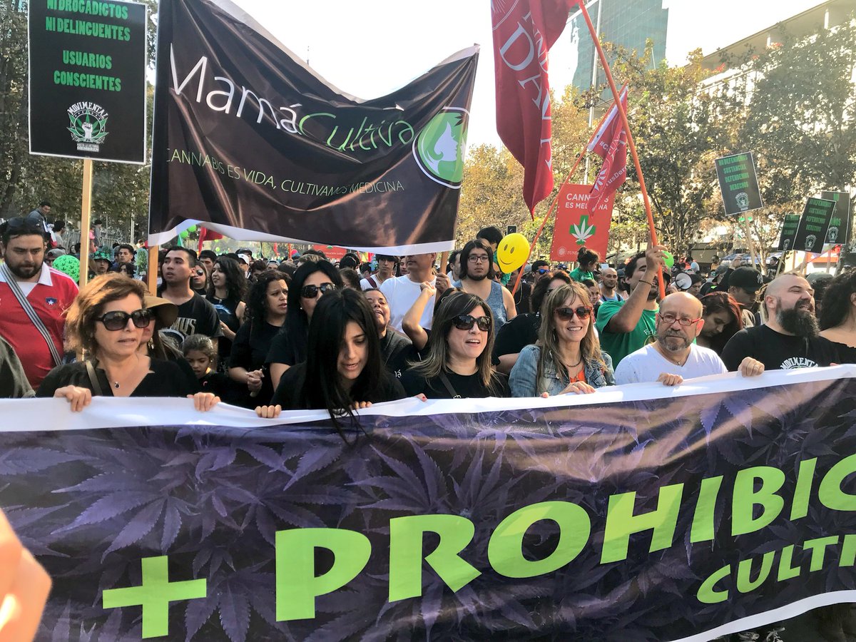 Marchan a favor de la mariguana en Chile - marcha-mariguana-chile1