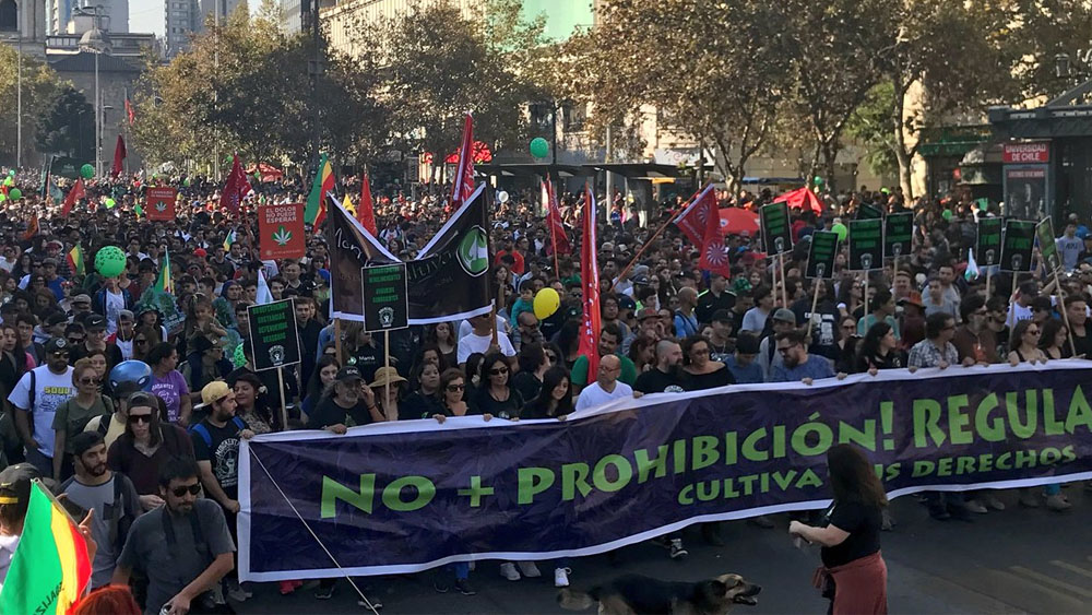 Marchan a favor de la mariguana en Chile
