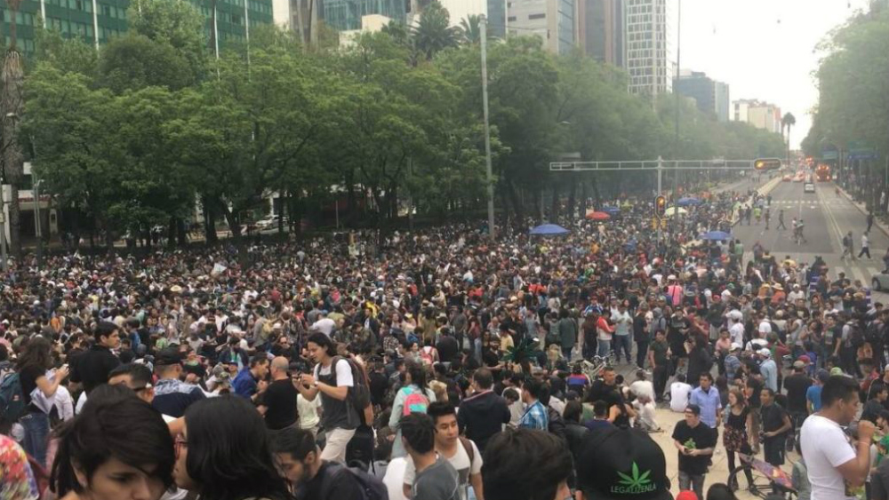 Marchan en la CDMX para pedir legalización de la mariguana