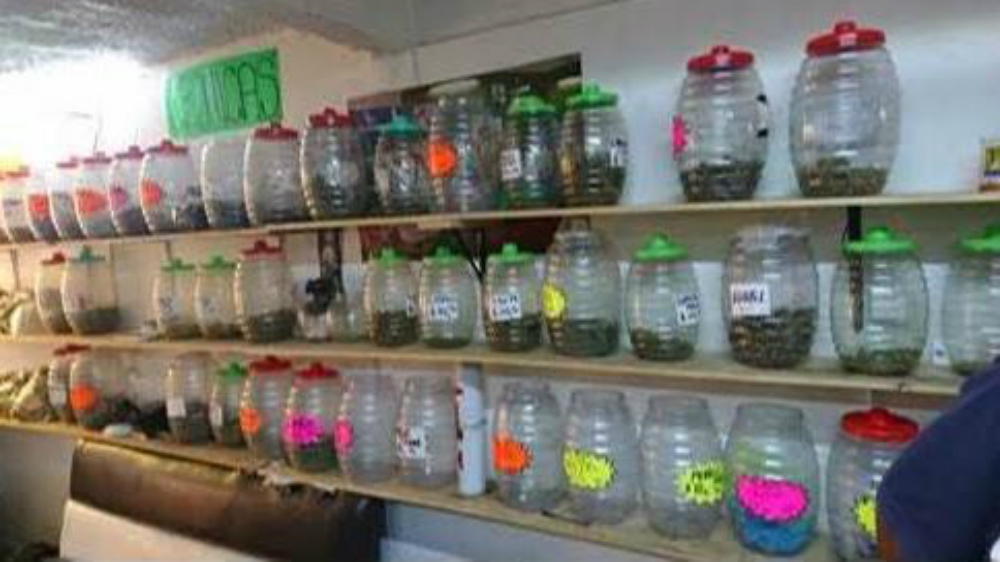 Desmantelan tres ‘narcotienditas’ en la colonia Morelos de la CDMX