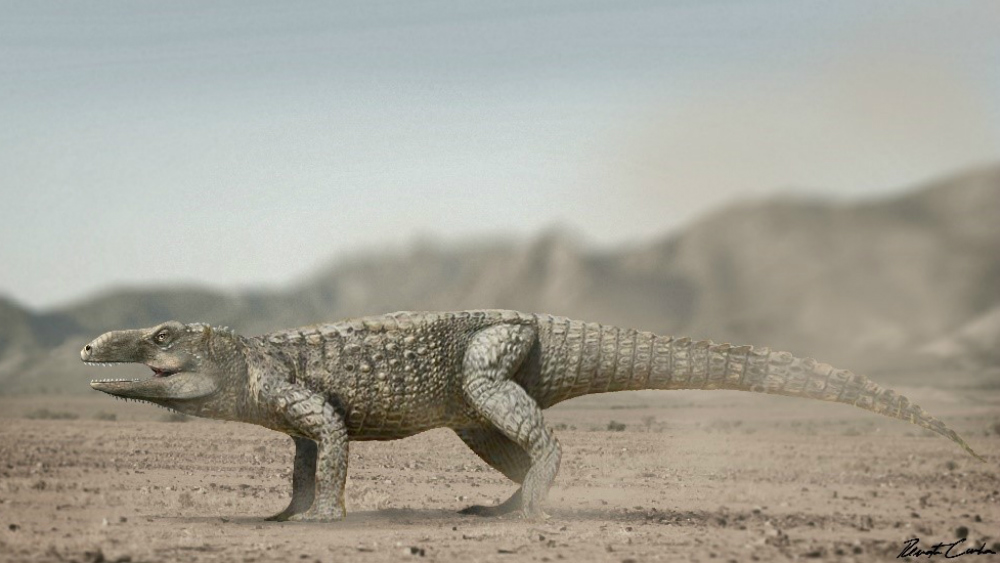 En Brasil encuentran fósil de nuevo reptil - pagosvenator-candelariensis-corpo