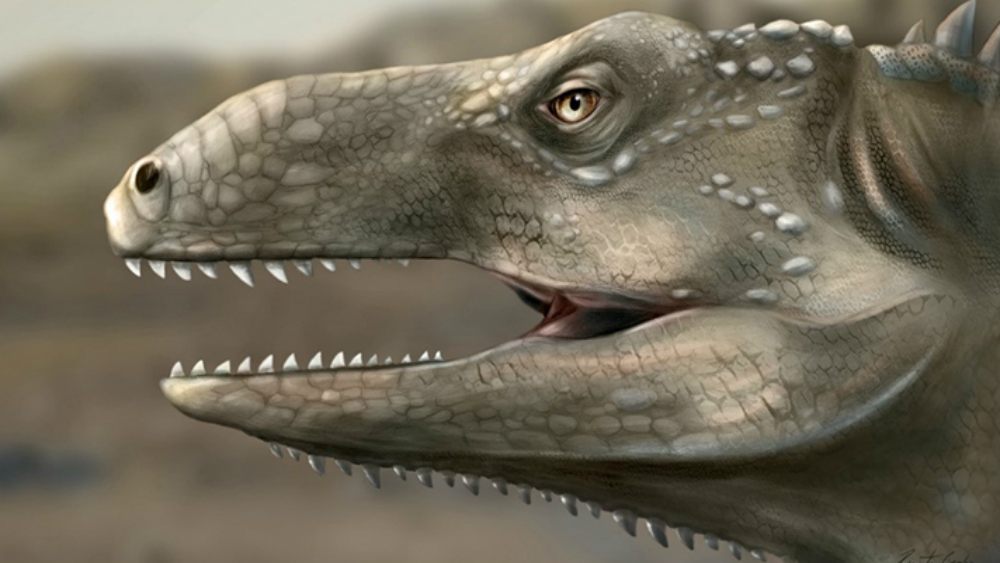 En Brasil encuentran fósil de nuevo reptil