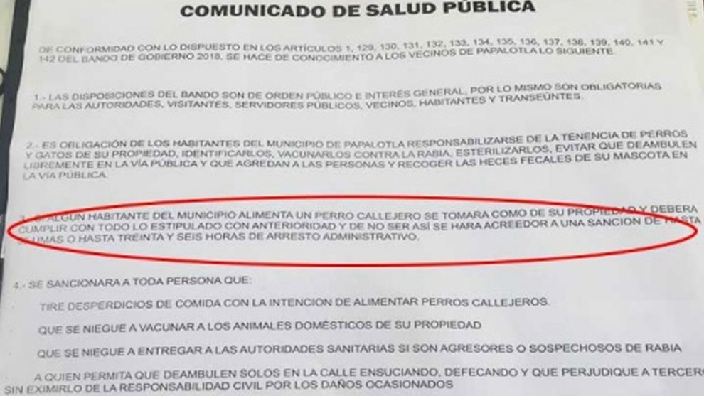 Municipio mexiquense sancionará a quien alimente a perros callejeros - papalotla-estado-de-mexico-perros-prohibicion