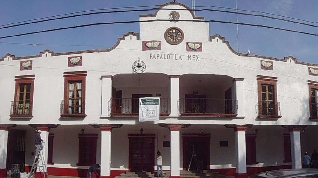 Municipio mexiquense sancionará a quien alimente a perros callejeros