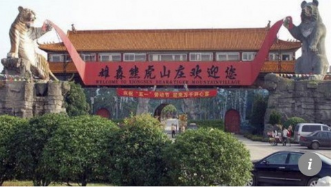 Tigre mata a cuidador en zoológico de China - parque-de-tigres-y-osos-de-guilin-donde-un-tigre-mato-a-un-cuidador-que-vendia-vino-milagroso