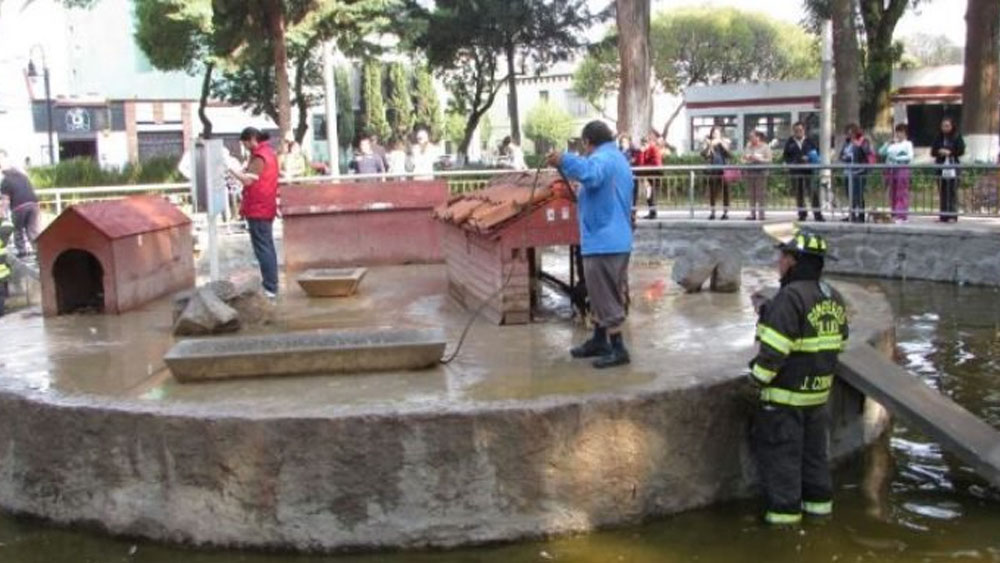 Perros callejeros devoran patos en Alameda de Toluca