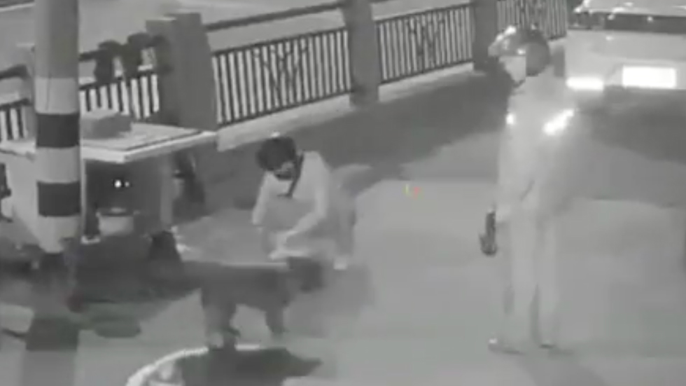 #Video Sujetos roban perros en China con dardos tranqulizantes